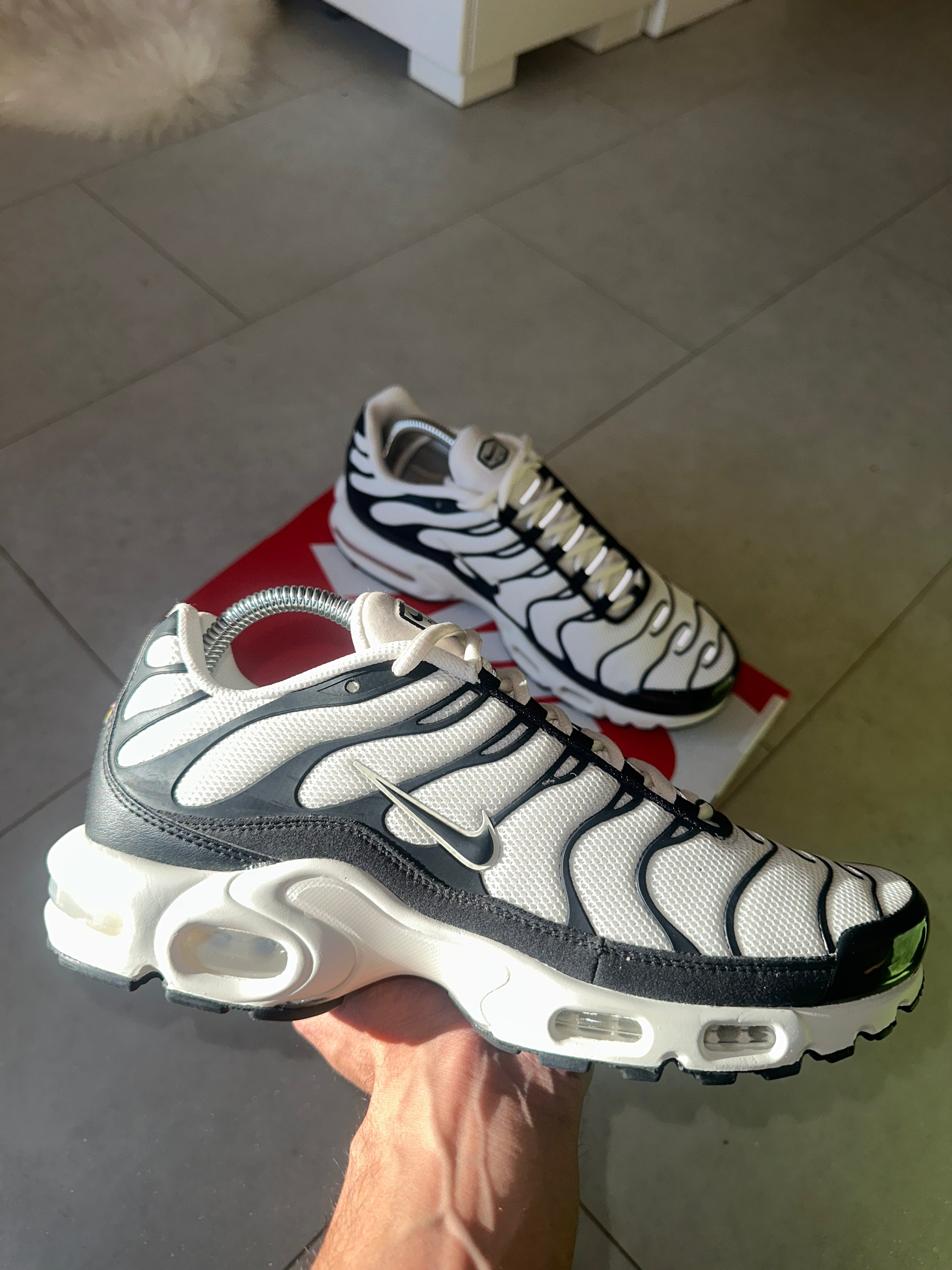 Air Max Plus Panda