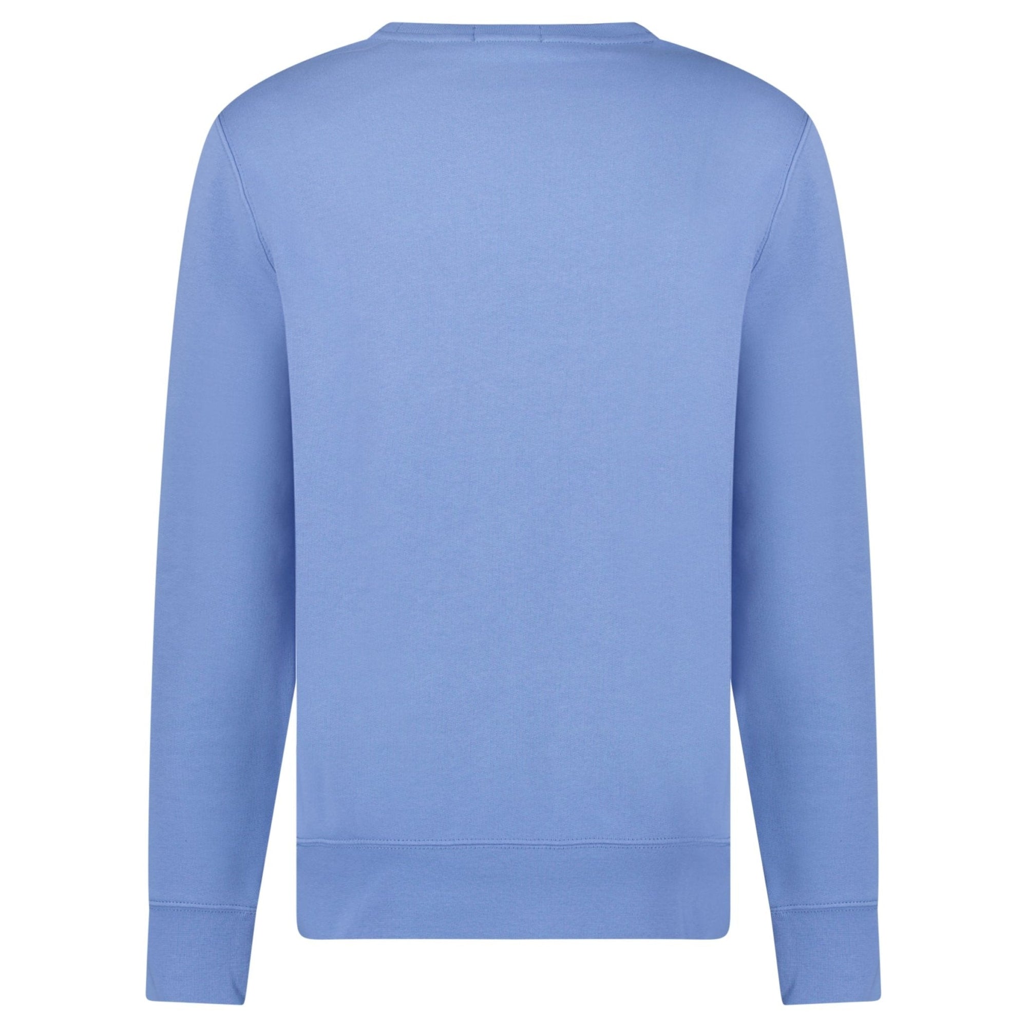 Polo Ralph Lauren Bear Crew Sweatshirt in Blue