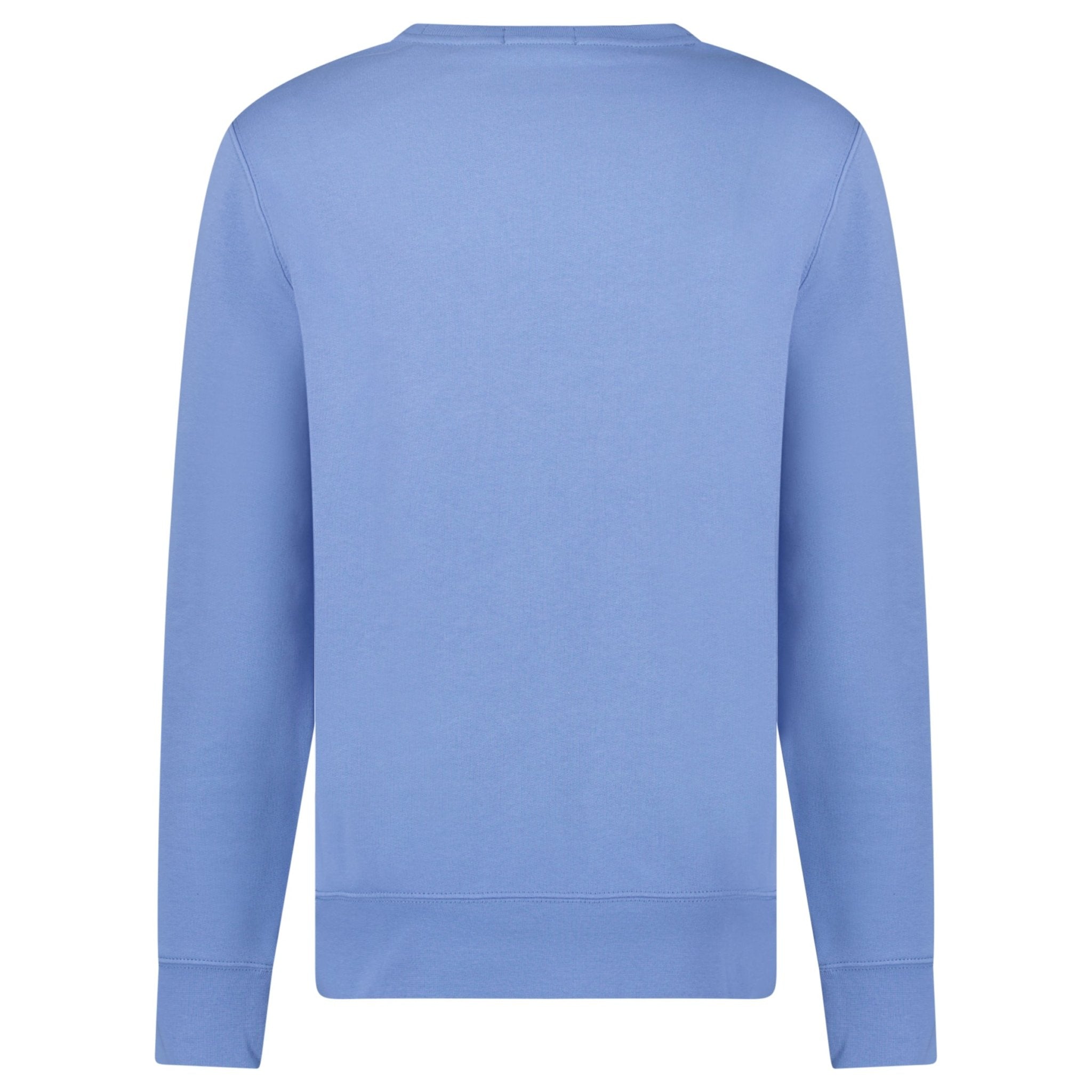 Polo Ralph Lauren Bear Crew Sweatshirt in Blue