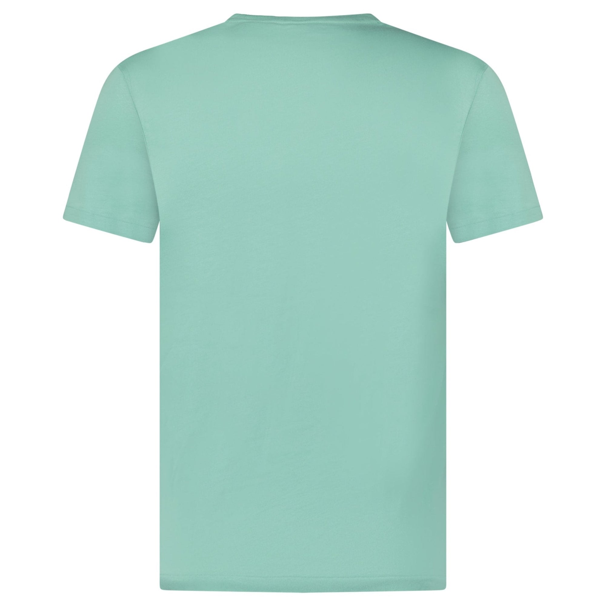 Polo Ralph Lauren Custom Slim Fit T-Shirt in Green