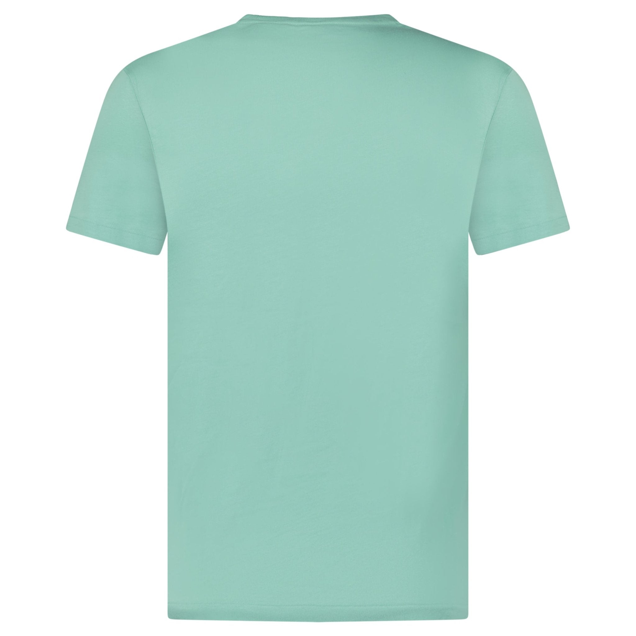 Polo Ralph Lauren Custom Slim Fit T-Shirt in Green