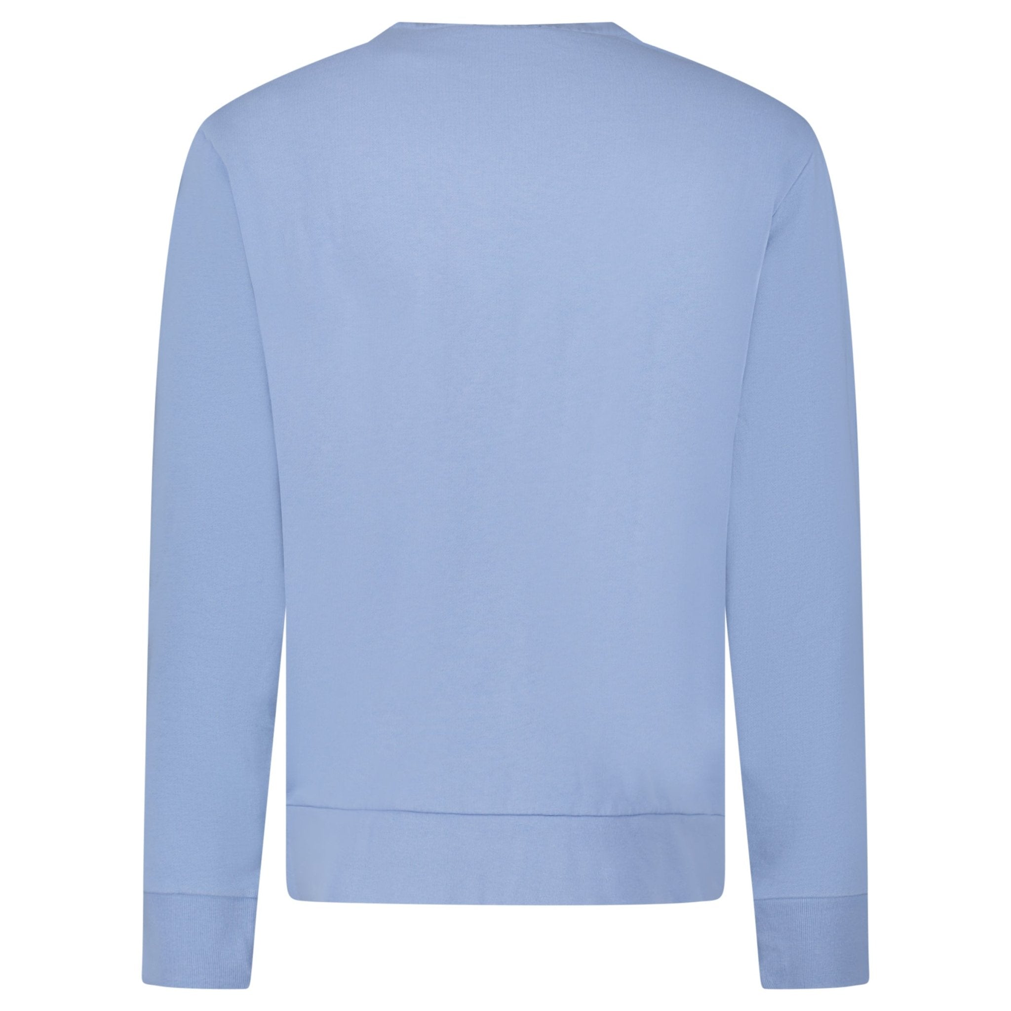 Polo Ralph Lauren Fleece Crew Sweatshirt in Light Blue